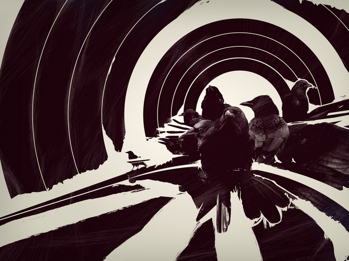 Monochrome illustration of crows in a tunnel
