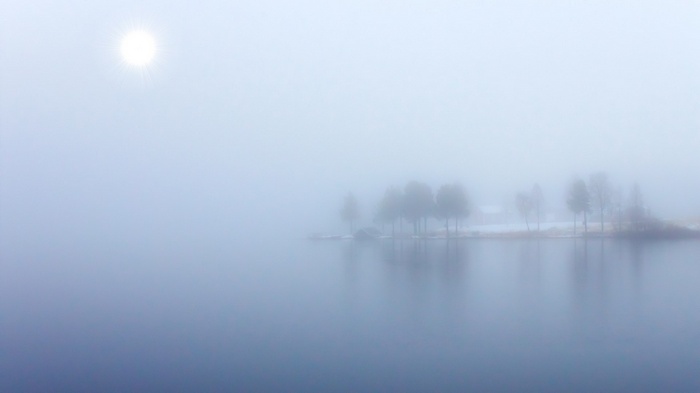 Misty lake with trees and sun