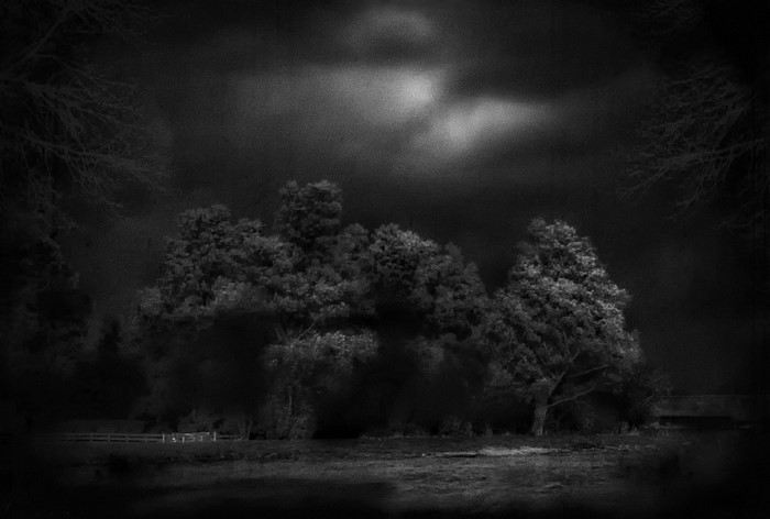 Monochrome landscape with trees and clouds at night