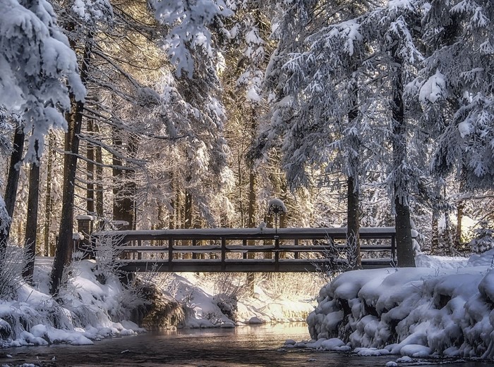 Snow-covered bridge over a stream in a winter forest
