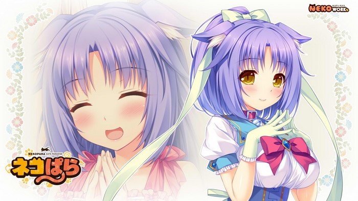 Cinnamon from Neko Para Cats Paradise