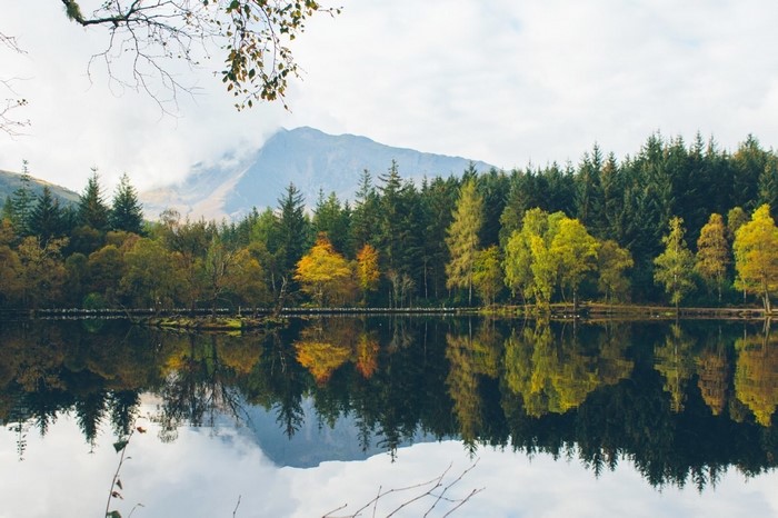Autumn forest reflected in a lake with mountains