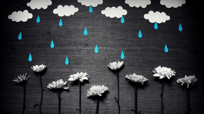 Paper clouds and raindrops over white flowers