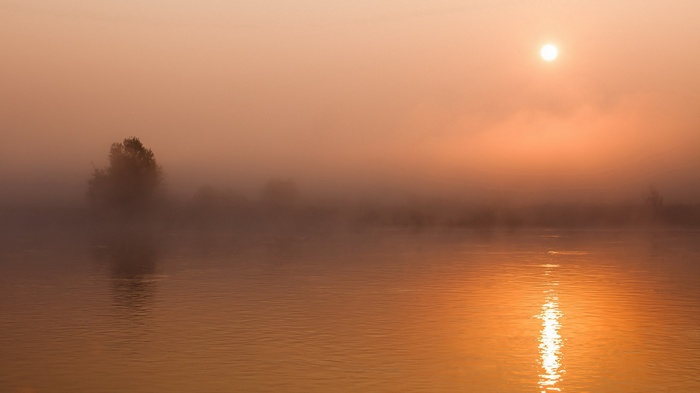 Misty sunrise over a calm river with a single tree