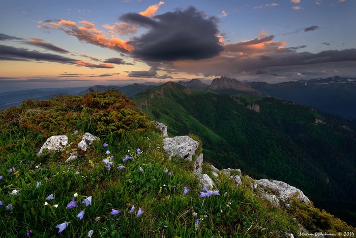 Mountain landscape with flowers at sunset