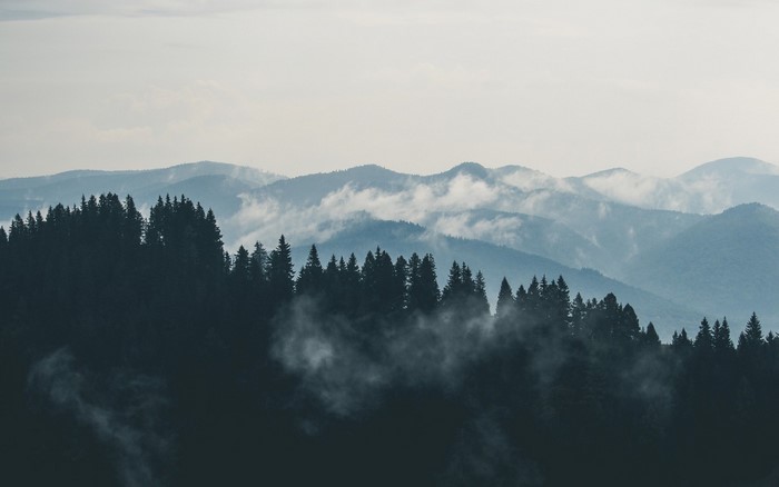 Misty mountains and forest landscape