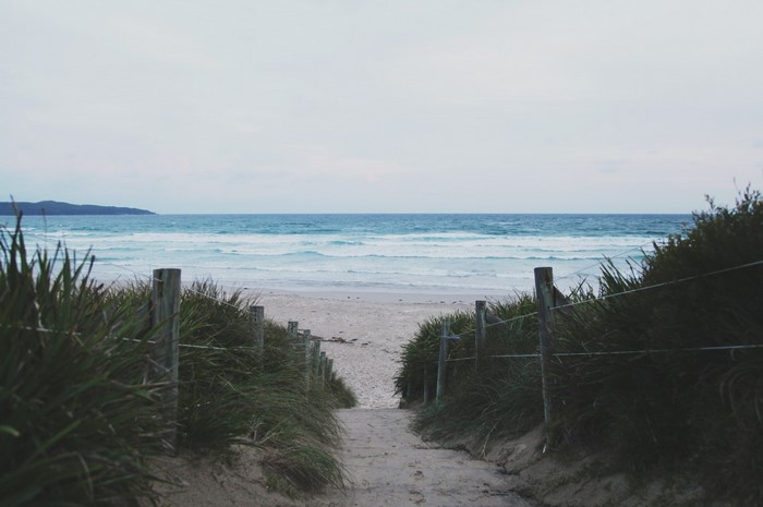 Beach path with grass and ocean waves