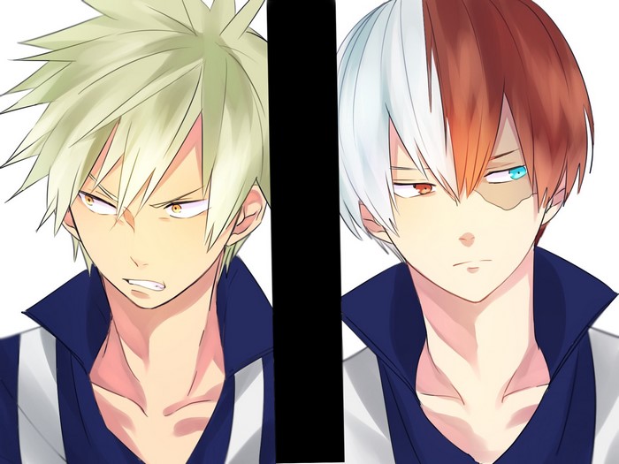 Katsuki Bakugo and Shoto Todoroki from My Hero Academia