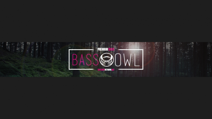 Bass Owl Premium Bass Logo