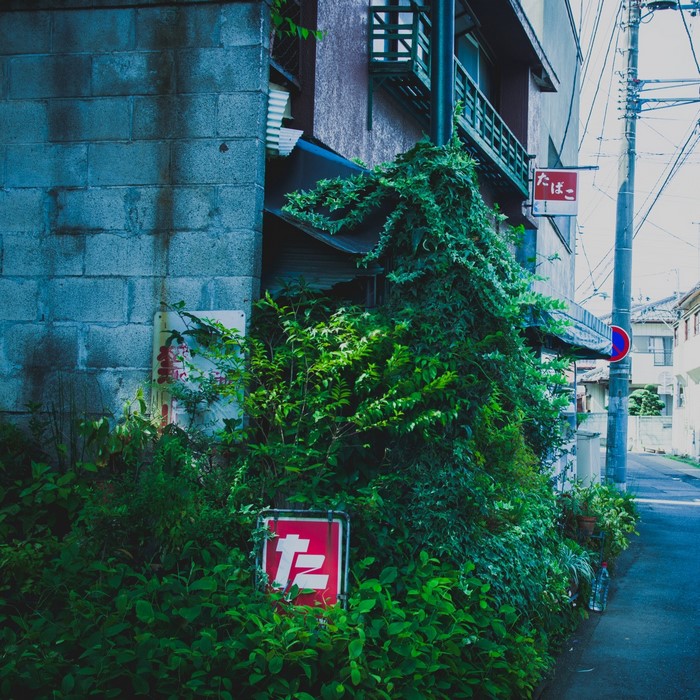 Street in Japan with Overgrown Plants and Signs