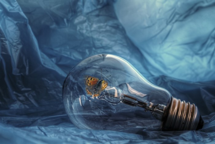 Butterfly inside a light bulb