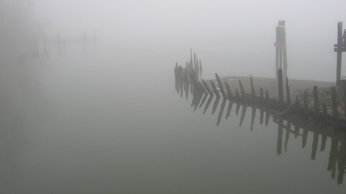 Shipwreck ribs in foggy water