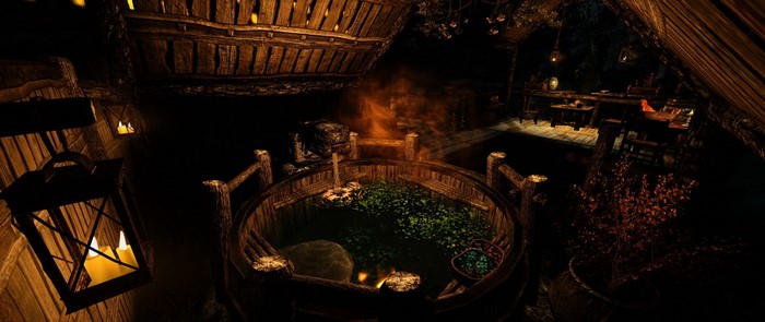 Skyrim screenshot of a rustic hot spring at night