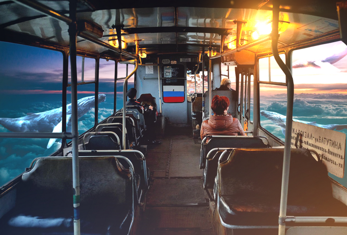 Bus traveling through clouds with whales