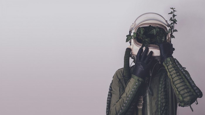 Astronaut helmet filled with plants
