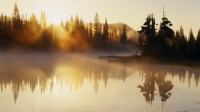 Sunrise over misty lake and pine forest reflection