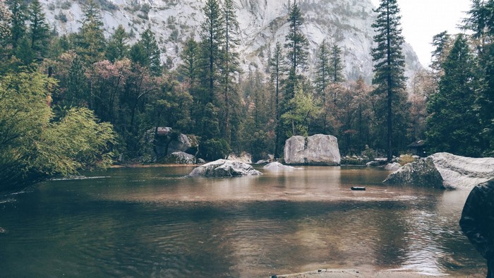 Lake and Forest in Yosemite National Park