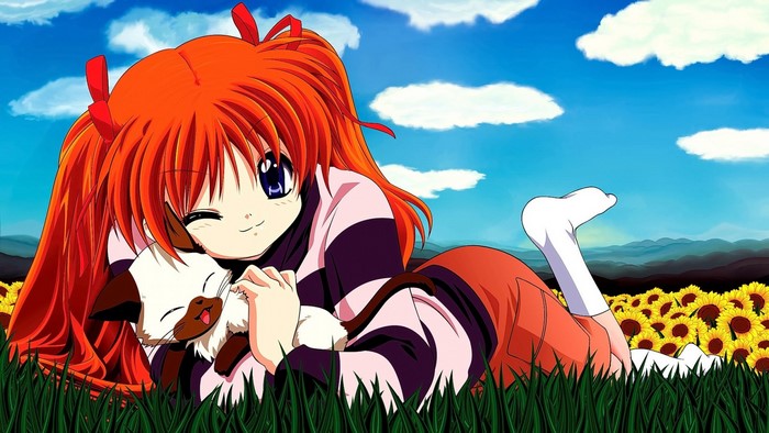 Makoto Sawatari from Kanon with a cat in a sunflower field