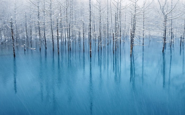 Blue pond with snow-covered trees in winter