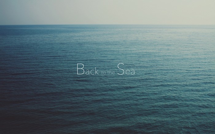 Back to the Sea text over ocean horizon