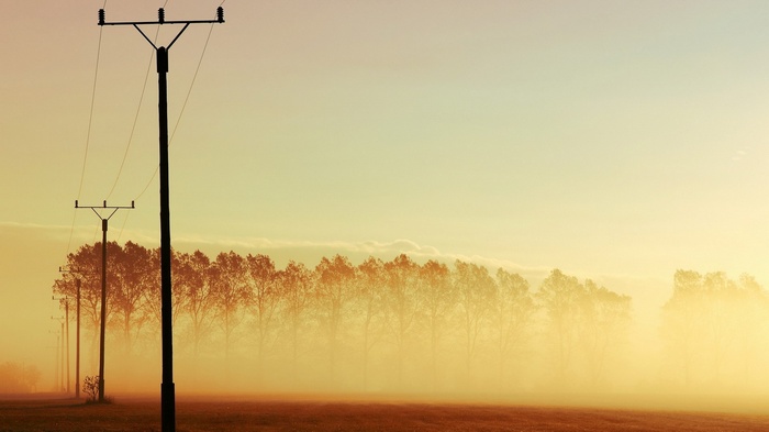 Power lines in a foggy field at sunrise
