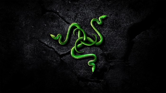 Razer logo made of green snakes on black background