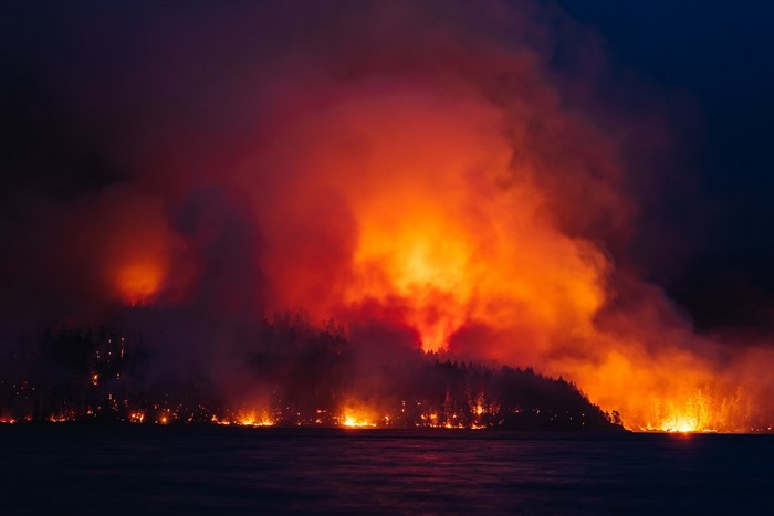 Wildfire raging at night over a forest and sea