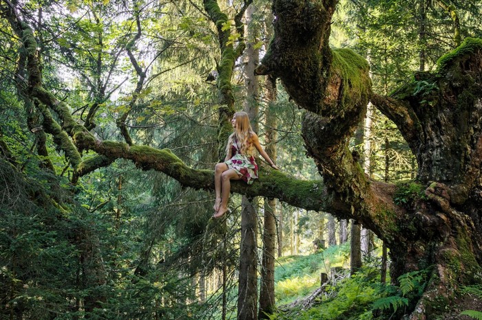 Woman sitting on a mossy tree branch in a forest