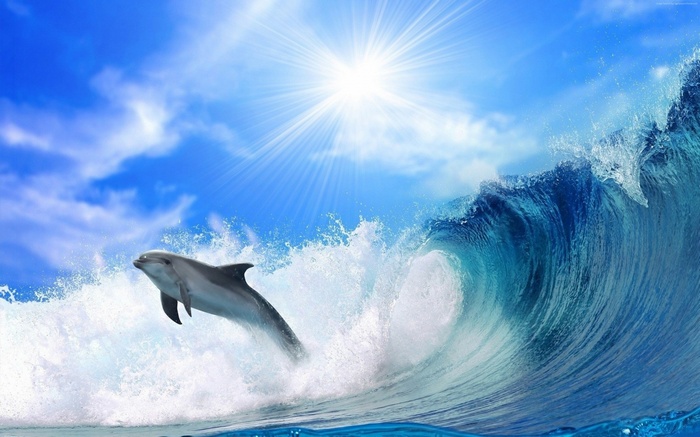 Dolphin jumping out of a wave in the ocean