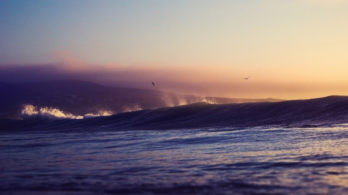 Waves crashing at sunset with birds flying