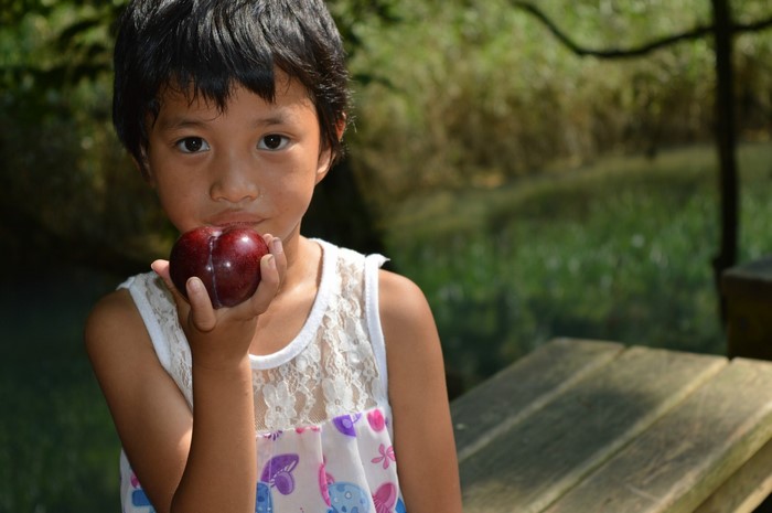 A young girl holds a plum in front of her face