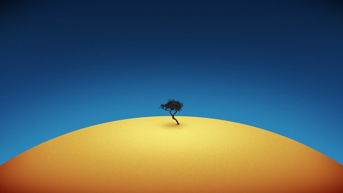 Lone tree on a sand dune under a blue sky