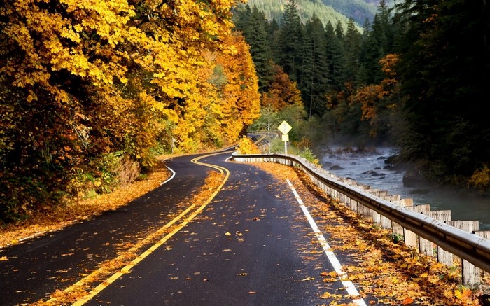 Winding road through autumn forest with river