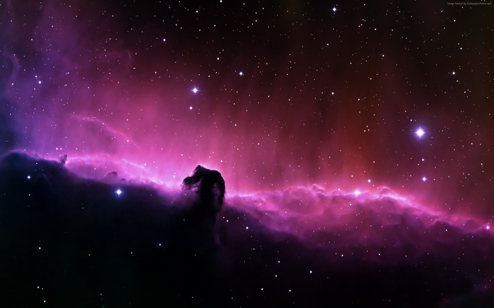 Horsehead Nebula in Space