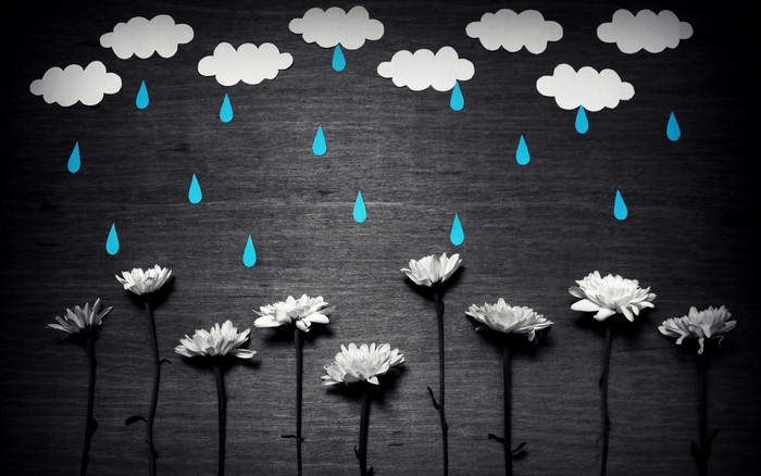 Paper clouds and raindrops over white flowers