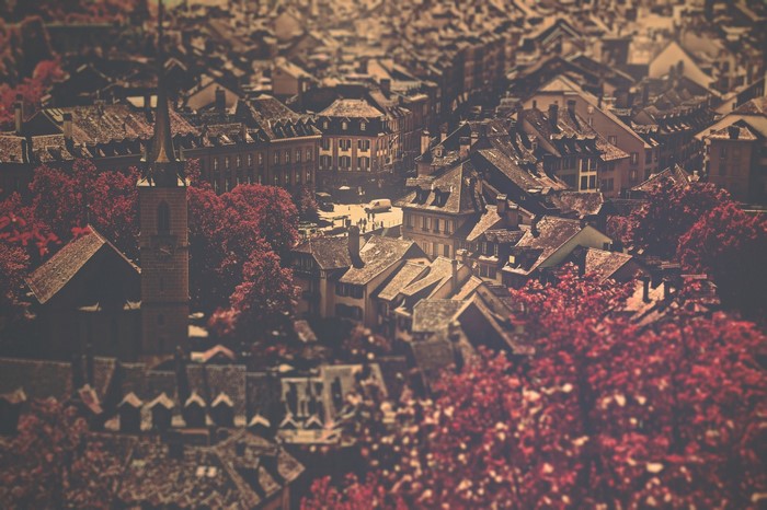 Aerial view of a European town with red trees