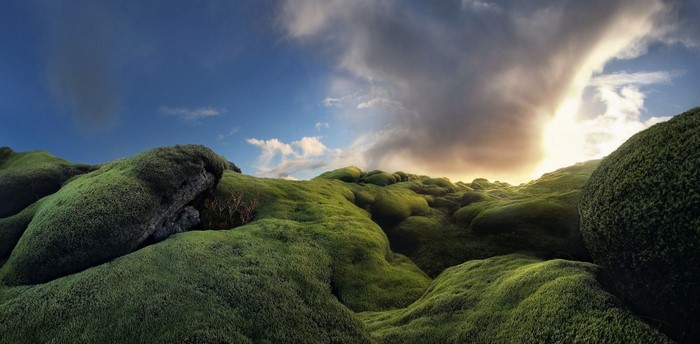 Mossy hills under dramatic sky in Iceland