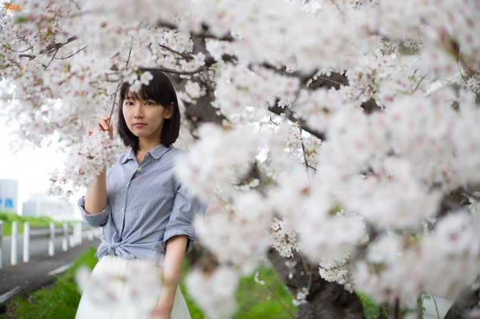 Riho Yoshioka Among Cherry Blossoms in Spring