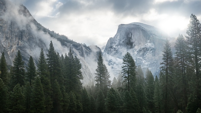Mountain range with fog and pine forest