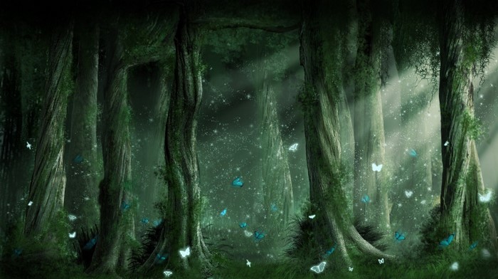 Fantasy forest with sunlight and butterflies