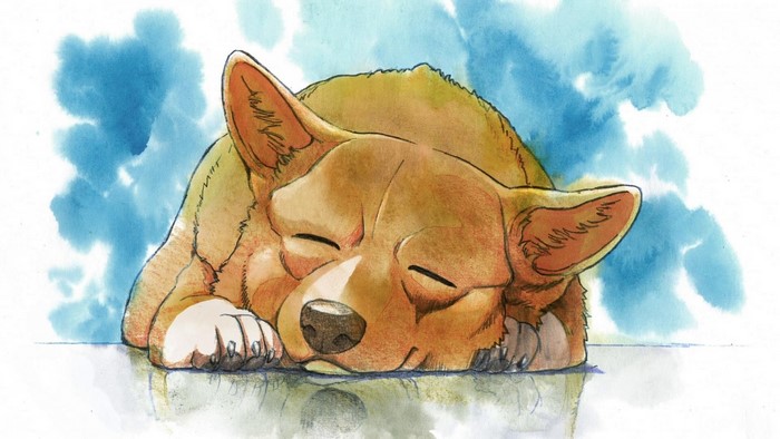 Ein the Corgi from Cowboy Bebop sleeping