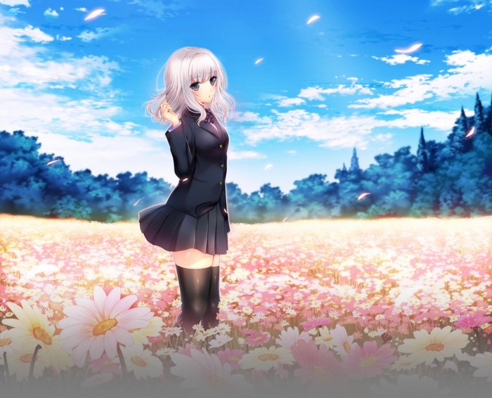 Anime girl with white hair in a flower field