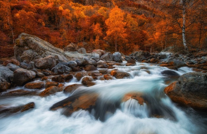 Autumn River Rapids with Vibrant Fall Foliage