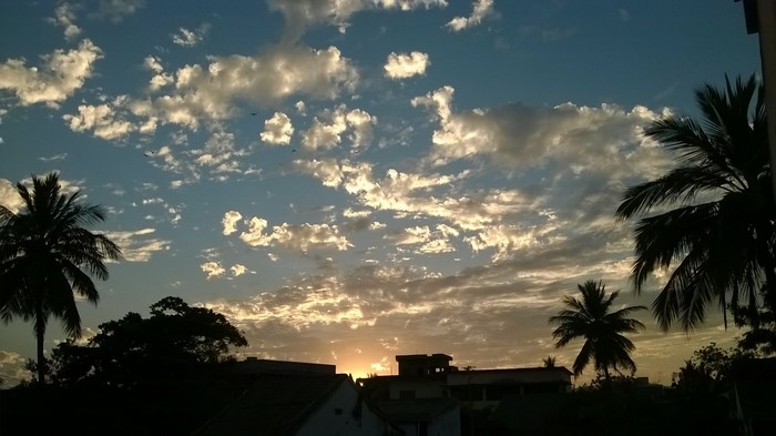Sunset sky with clouds and palm trees over buildings