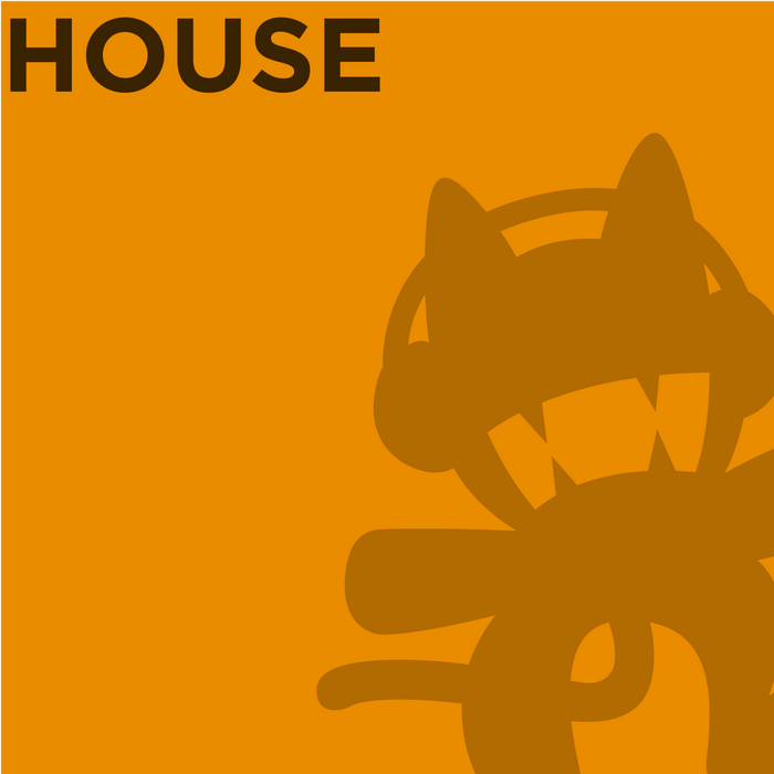 House music illustration with cat character