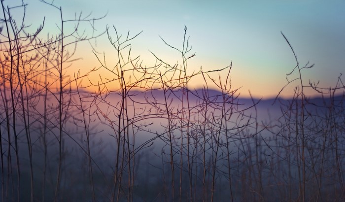 Bare branches against a colorful sunset sky over mountains