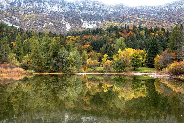 Autumn forest reflected in a mountain lake