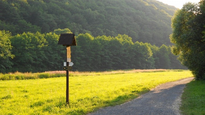 Signpost in a sunlit meadow with a forest-covered hill