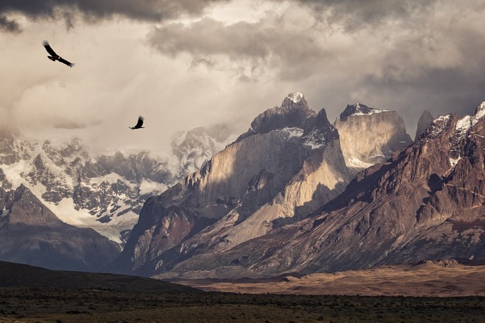 Sunlit Mountains and Condors in Torres del Paine, Chile