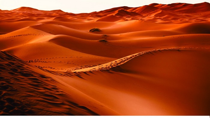 Sahara Desert sand dunes landscape